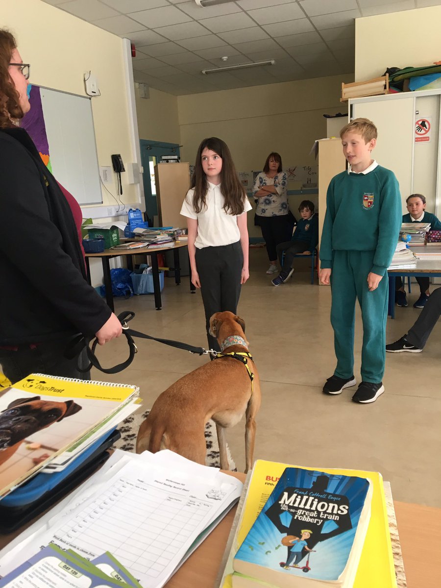 Walterstown5th's tweet photo. We had a very informative and enjoyable visit from @DogsTrust_IE today https://t.co/Y0ngnz68xw