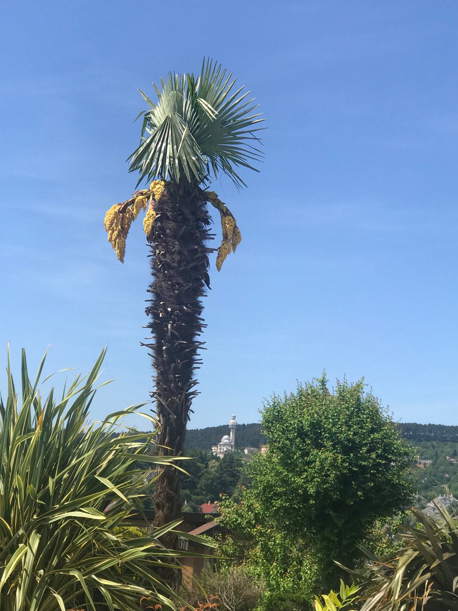 Kılıcın kesmediğini dua keser
Sözün durduramadığını dua durdurur
Aklın açamadığını dua açar
Kalbin ikna edemediğini dua ikna eder,
Çünkü dua ‘vermeyi isteyenin ve istemeyi veren’ in kapısını çalmaktır.İyi Ramazanlar ⁦<a href="/drnevzattarhan/">Nevzat Tarhan</a>⁩ ⁦<a href="/npistanbul/">npistanbul</a>⁩ ⁦<a href="/uskudaruni/">Üsküdar Üniversitesi</a>⁩