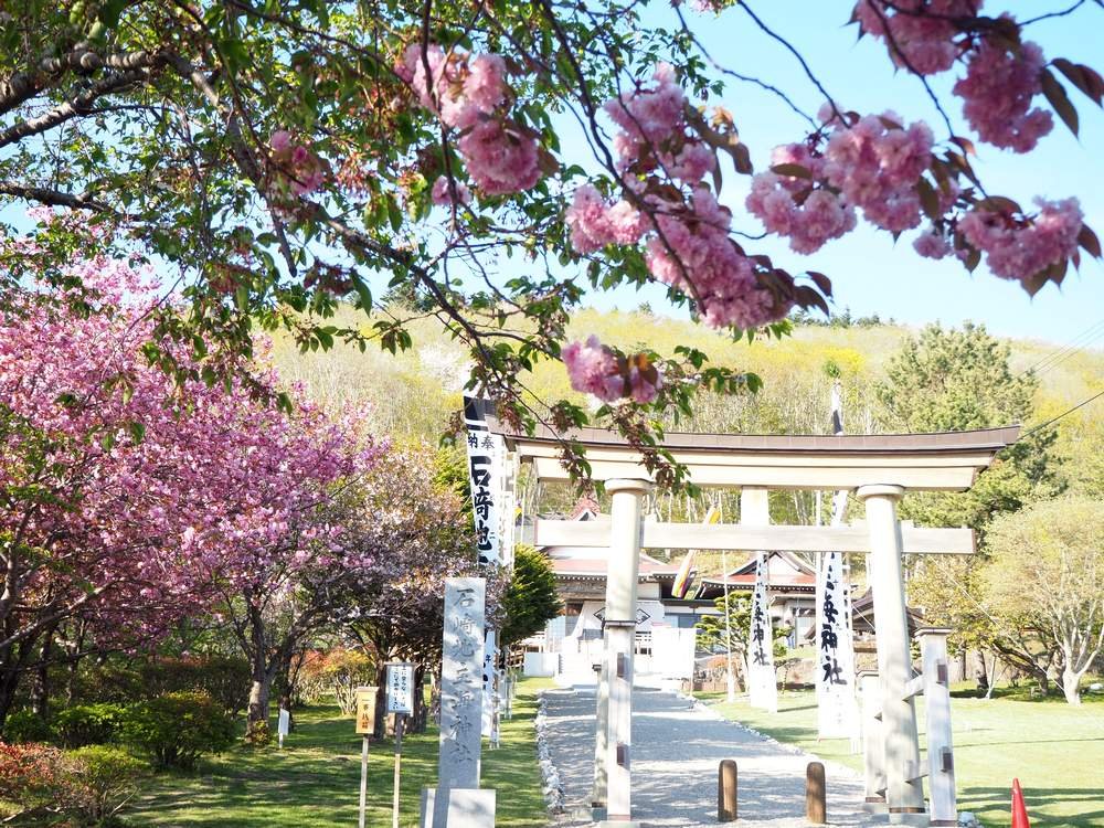 函館桜だより Twitter Search