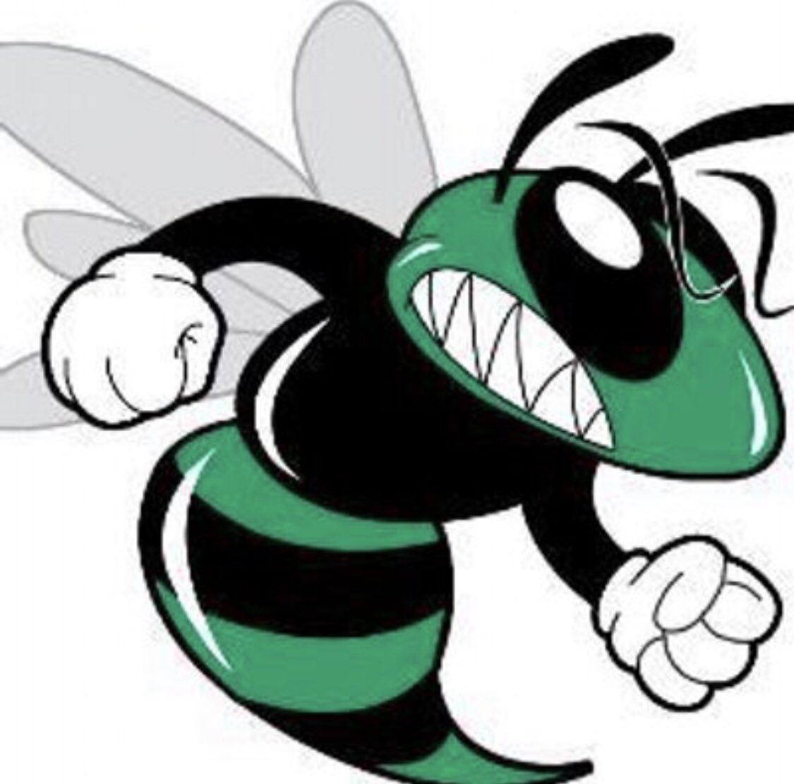 CoachCook100's tweet image. Our Green &amp;amp; White Game is Fri  (5/17) at 5:30. Come out and support THE HORNETS as they prepare for their Spring Game vs. Calvary Christian. The Spring Game is Thur (5/23) at 7:00 at Weeki Wachee High School.
#beatthewarriors
#hearthebuzz
#seetheswarm
#feelthesting
#GOHORNETS