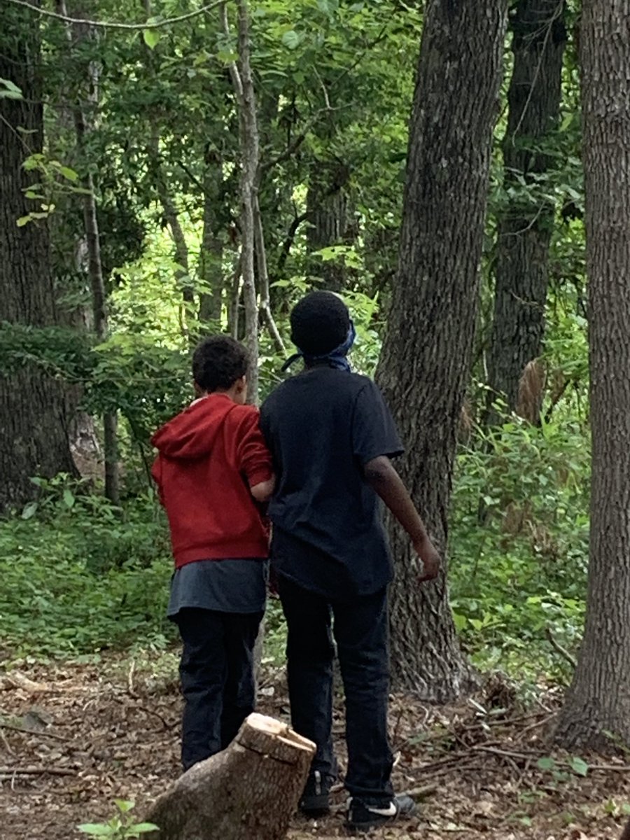 DahroogeV's tweet photo. A day full of awesome standard aligning activities! 5th grade is exhausted, but we have learned a lot about ourselves and our peers. We even became one with nature! Another awesome day closing here at Camp Don Lee! 😊 #PESBreakoutYear #5thGradeTrip @AsstPrincipalPo @PetreeElem https://t.co/SBgXtVtndw
