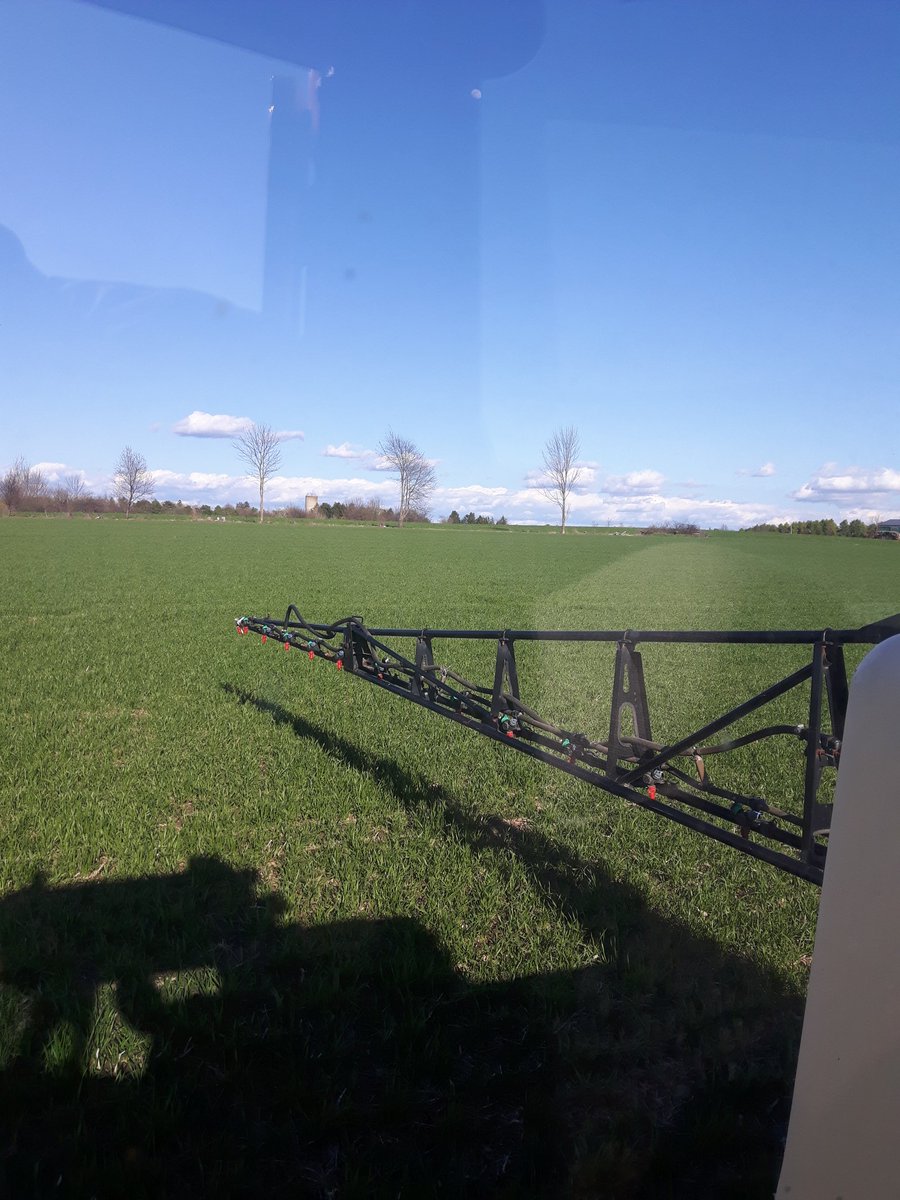 LennoxJay's tweet photo. Wheat is finally coming along , early app of UAN +ATS, along with good  drainage paying off bigtime! 2nd app of N tonight, with the assumption of some losses in pass 1, and another shot or two to go. #spoonfeeding #hardredwheat #OntAg https://t.co/pX5Zmrw0IP