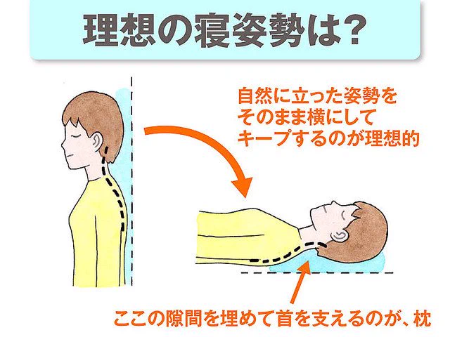 寝ても疲れが取れないあなた！枕の使い方が間違っているかも！