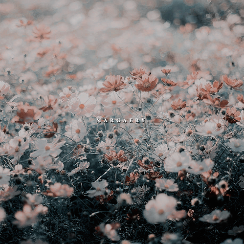 ❝ ─ Tʜᴇ ᴅᴇʟɪɢʜᴛ ᴏғ ᴏᴜʀ Hᴏᴜsᴇ.❜