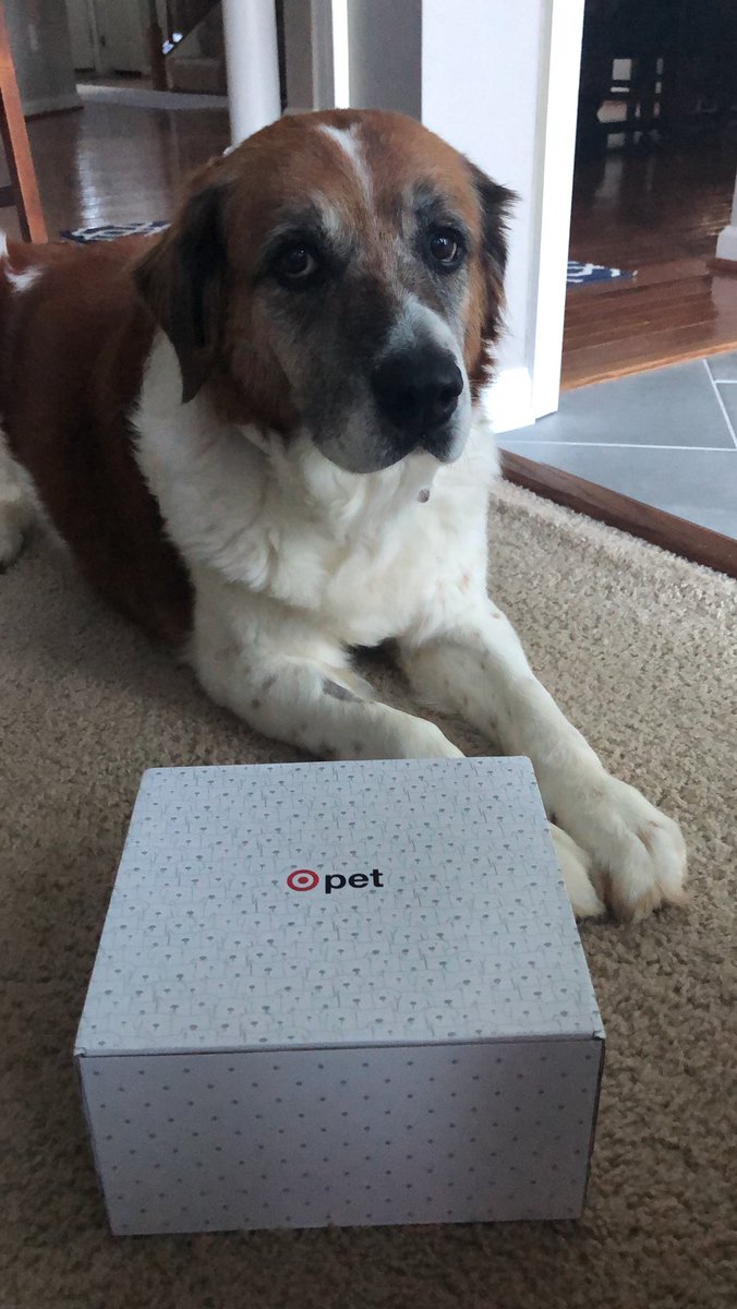 zachary conte tweet media