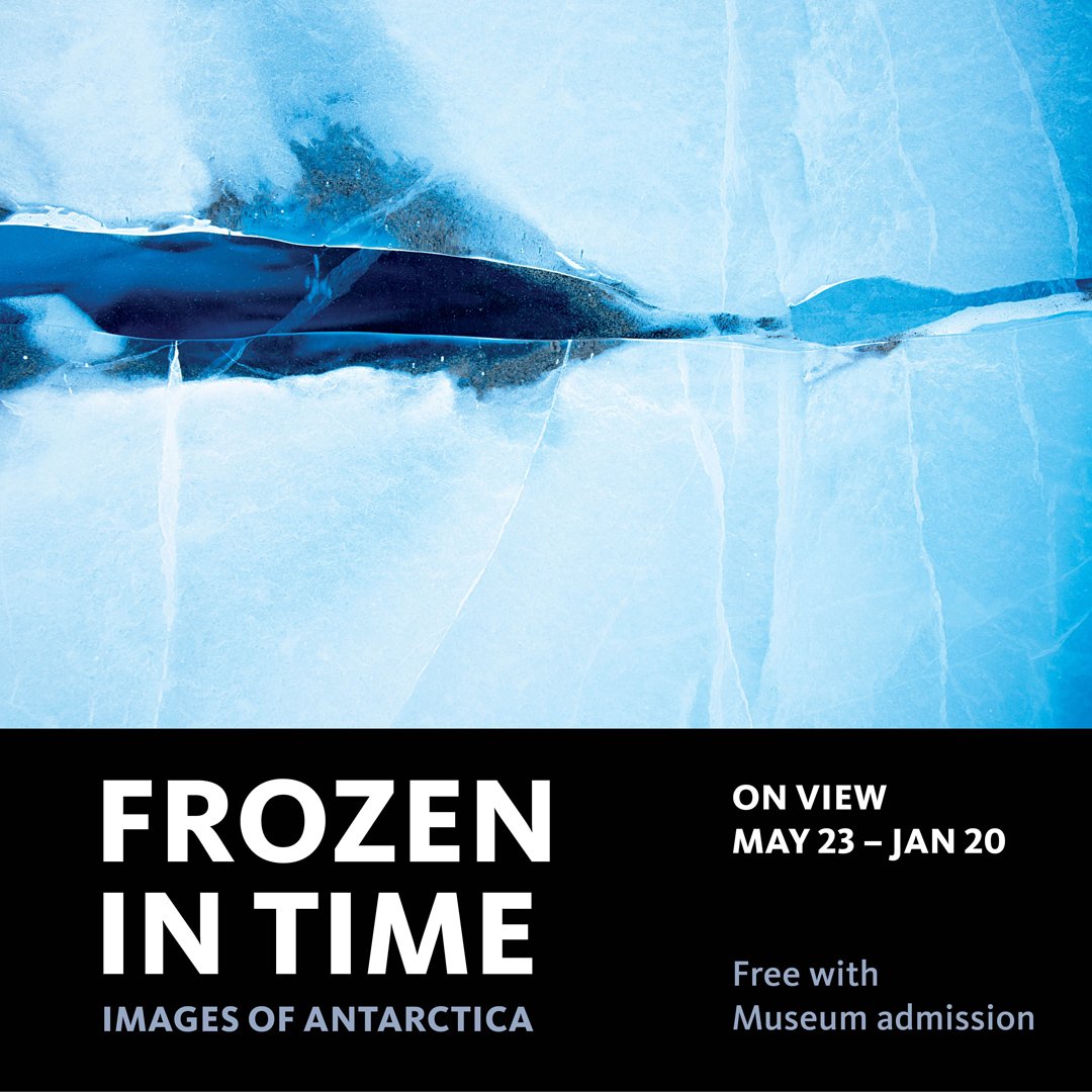 NHMLA's tweet photo. ᴄᴏᴍɪɴɢ sᴏᴏɴ | Beginning May 23, see the frigid continent of Antarctica in a new light through the mesmerizing work of award-winning photographer @DianeTuft in #FrozenInTime: Images from Antarctica. ❄️ https://t.co/QAN23j89DA https://t.co/0mgBMXv3fh