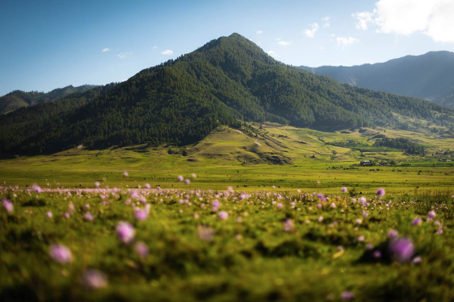 drukheritage's tweet photo. Spring is almost here and we couldn't be more excited for it! 🌱
#SpringHasSprung #PhobjikhaValley #TravelBhutan https://t.co/DkpFsJRUrA