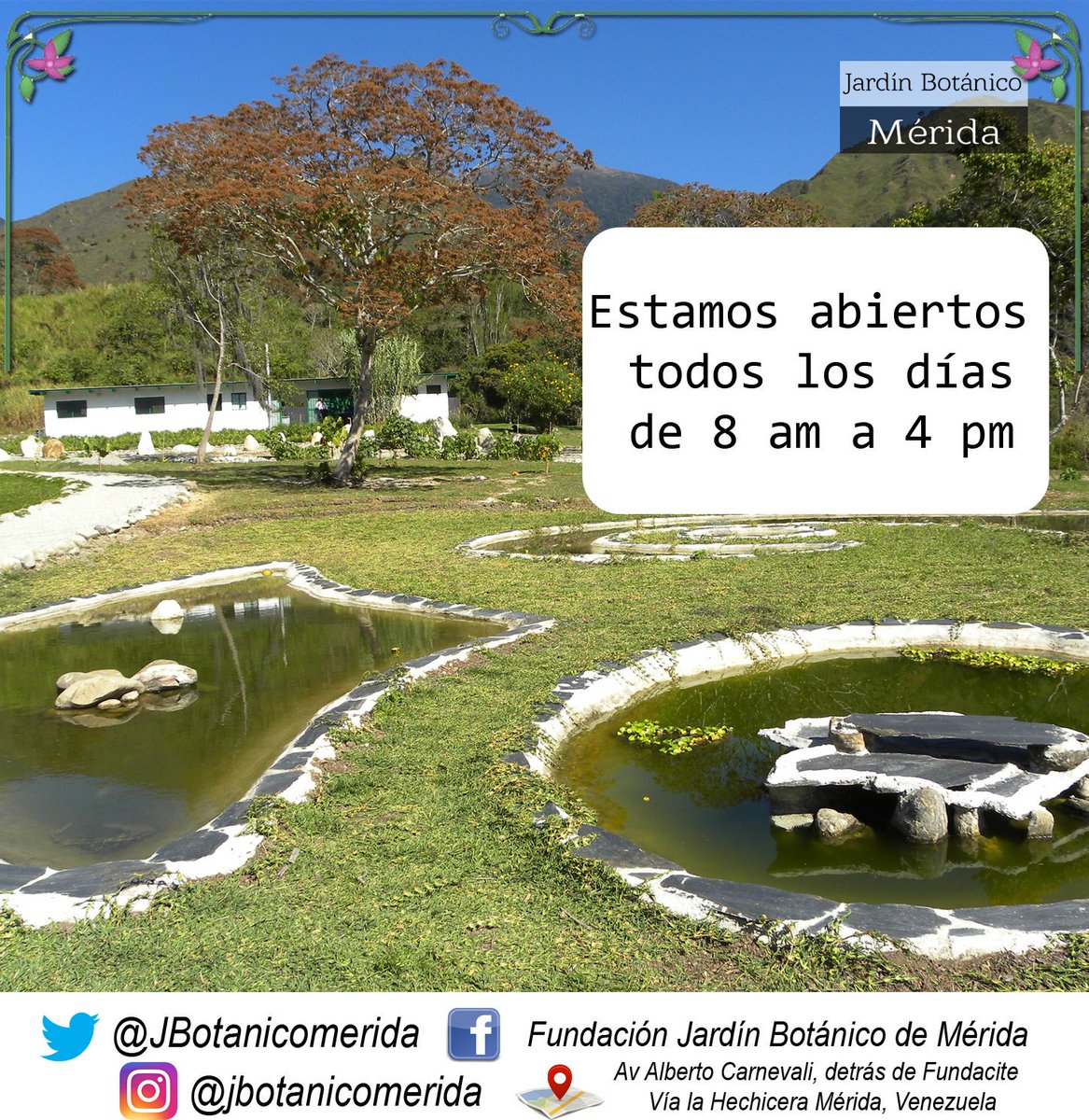 Visítanos cualquier día de la semana desde las 8am hasta las 4pm para disfrutar de un lugar único en la ciudad.

▶⏺Tenemos Estacionamiento para mayor comodidad de nuestros visitantes.