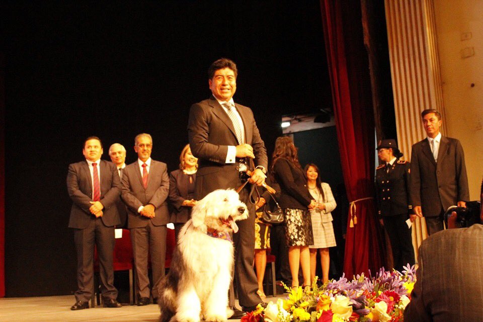 Lilia_Yunda's tweet photo. Zeus fue el invitado especial del Alcalde Jorge Yunda @LoroHomero, en su ceremonia de posesión 😊🐶 

#QuitoVuelveaSonreir 💙❤️❤️💙 https://t.co/UaQ1c97XIb