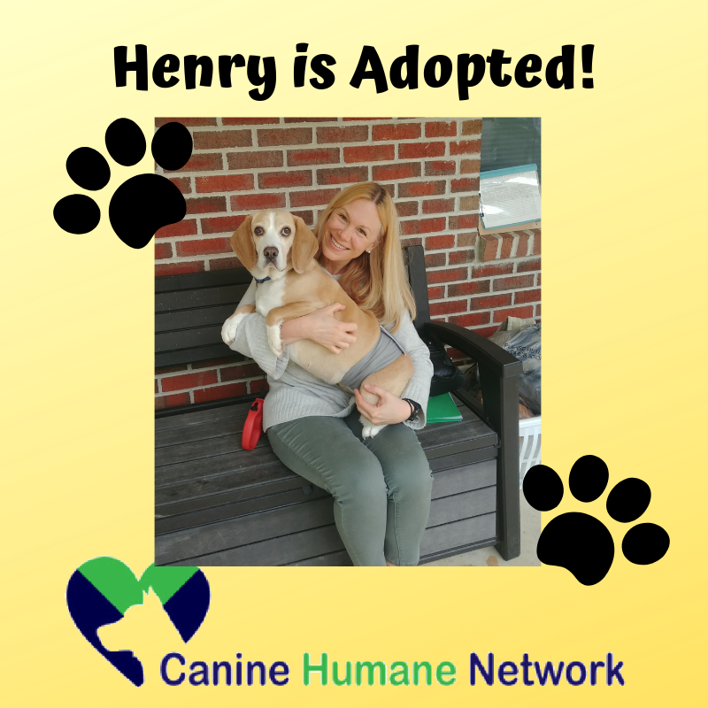 CHNpups's tweet photo. #ADOPT #AdoptDontShop #Dog #adoptdontshop #rescue #adoptme #shelterpets #rescuedogsarethebestdogs #rescuesrock #chn #chnpups #caninehumannetwork
#fostersrock #fosterssavelives https://t.co/DWAptukJIm
