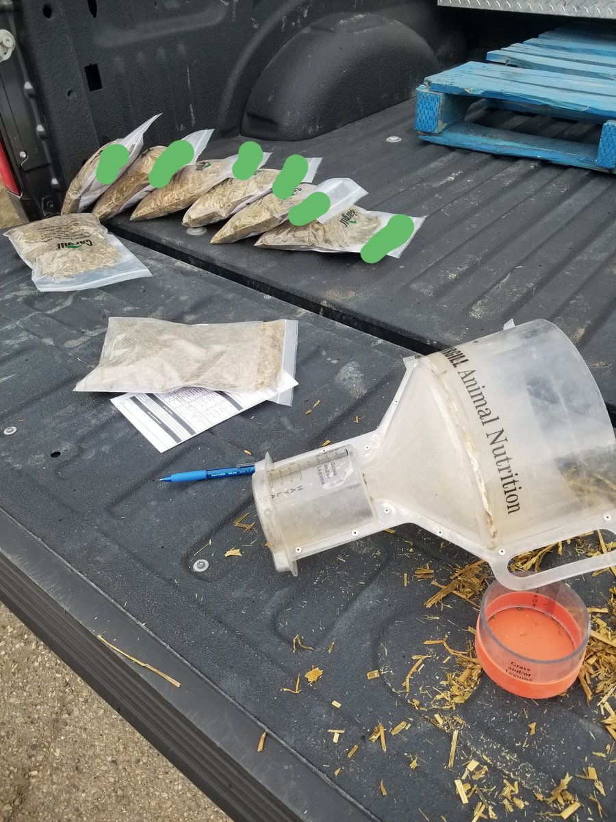 MikaylaMorden's tweet photo. Let's talk about chop lengthโผ If you take a look at the 3rd photo, you can see a great study about how crucial it is to have proper peNDF. The length index in these 8 samples taken today on farm, ranged from 25-70.
#peNDF #ChopLength #PurinaProactiv #CargillAnimalNutrition https://t.co/WieIDBjVku