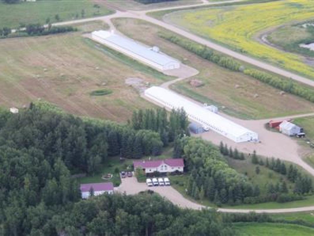 farmmarketercom's tweet photo. POULTRY FARM FOR SALE!
https://t.co/pVMwgpYBFw
Farm Type: Broiler
Acreage (Total): 89.33
Province: Manitoba
Agent: Karen Goraluk
#Findyourdreamproperty #farmmarketer #chicken #broilerbarn #chicks #canadianpoultry #poultry #agproud #farm365 #forsale https://t.co/8zUIXqKIAM