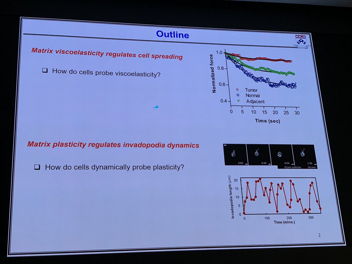 ara_anderson's tweet photo. Final talk of #mathonc19 by Ze Gong from Vivek Shenoys lab, presents Cell mechanosensitivity to viscoelasticity and viscoplasticity of extracellular matrices @PennEngineers https://t.co/YMWKIxaFzO