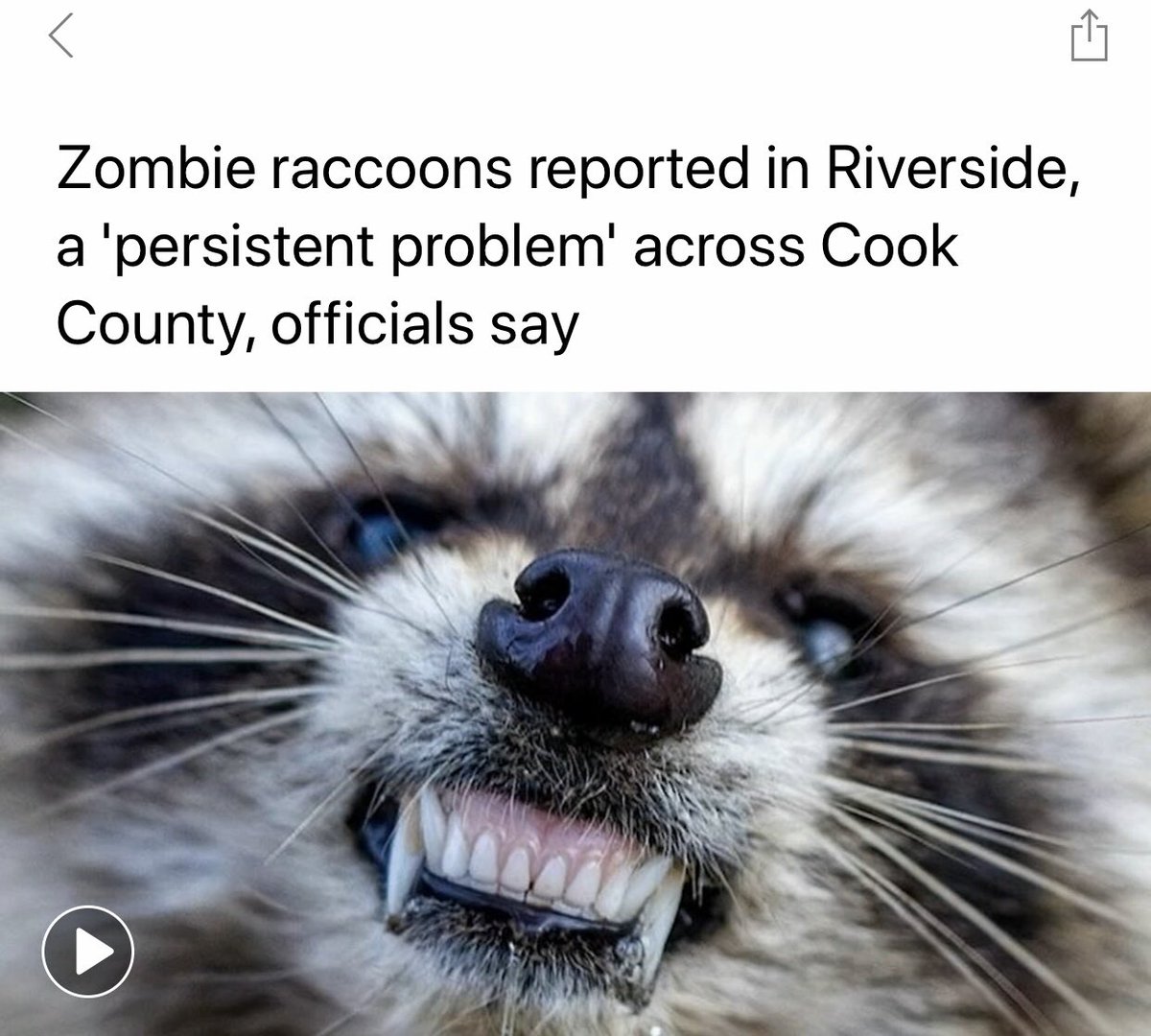 MorganNadauld's tweet photo. Interrupting my twitter hiatus to bring you this Chicago news update. This is what we’re dealing with, people: https://t.co/M8gfgWZT1H
