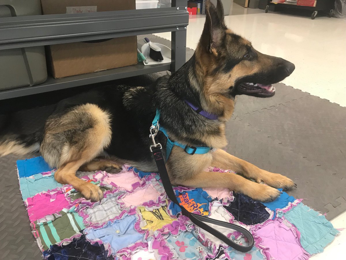 Gifted Feazel tweet media