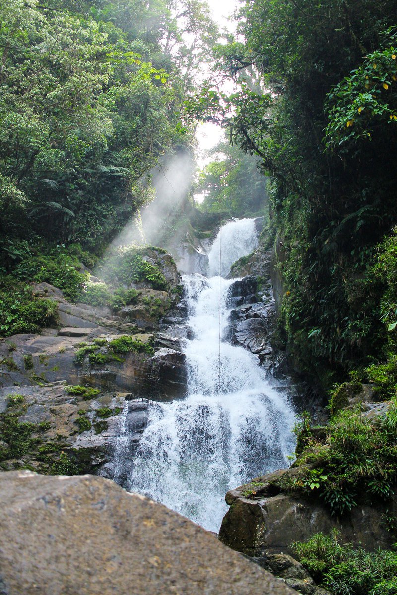Este fin de semana descubrí el paraíso terrenal, 😍 ¿dónde? Pues en mi tierrita Veraguas, en el Parque Nacional Santa Fe 😎💪🏻

#VisitSantaFe #VisitPanama #SantaFe #Veraguas #Panama #TravelPanama 🏞️ #Waterfall