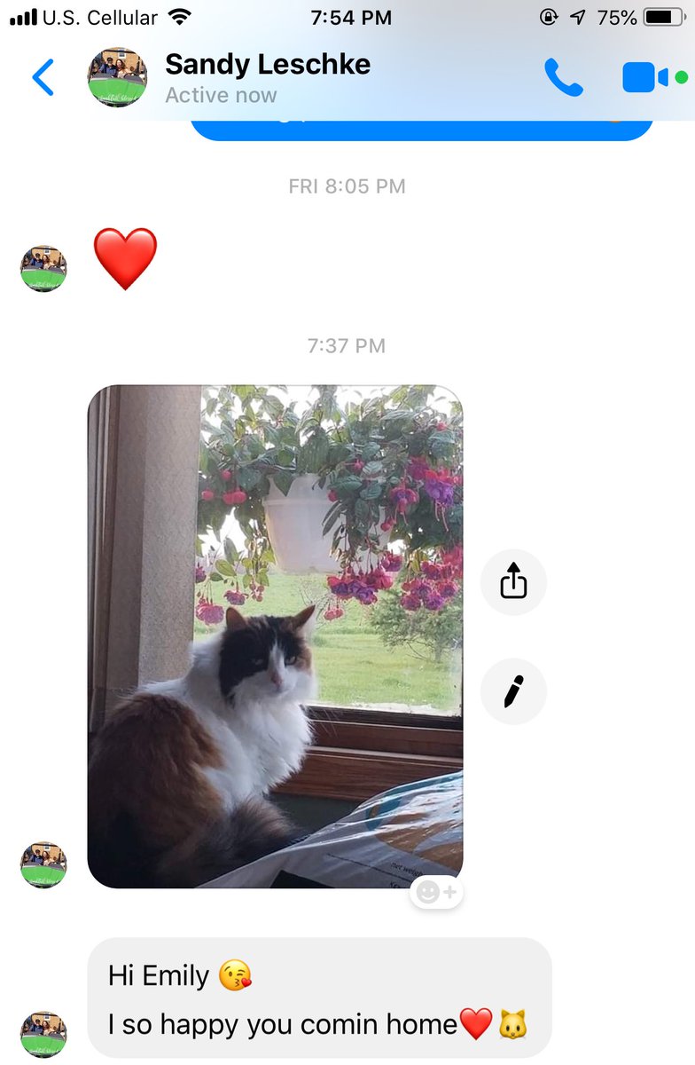 eleschke's tweet photo. Who seems more excited that I’m coming home....my mom?? Or Polly the cat?? https://t.co/L4tQtl4Y2r