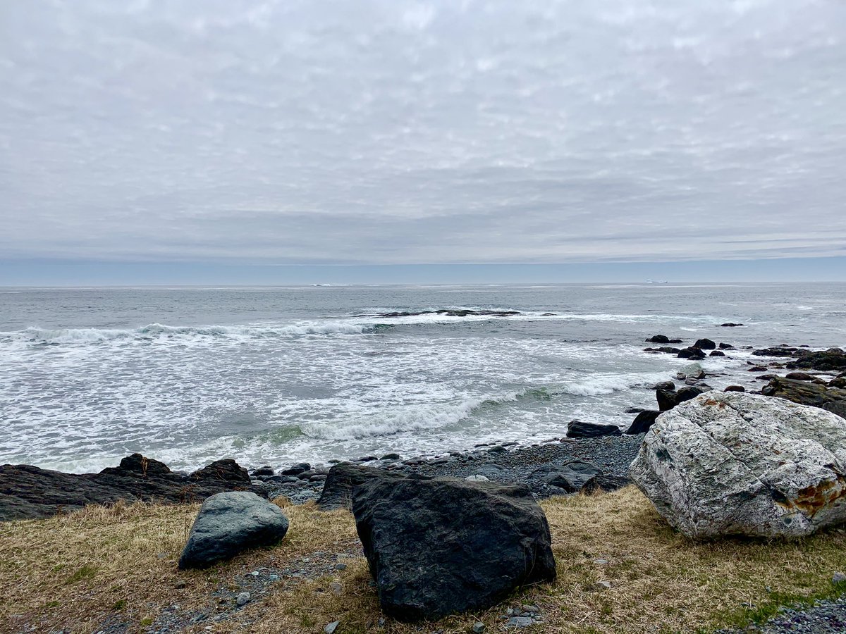 EdgeTrail's tweet image. Icebergs at Bear Cove &amp;amp; Admiral’s Cove along the Irish Loop