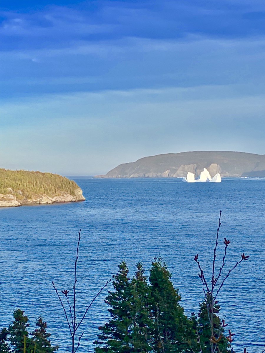 EdgeTrail's tweet image. Icebergs at Bear Cove &amp;amp; Admiral’s Cove along the Irish Loop