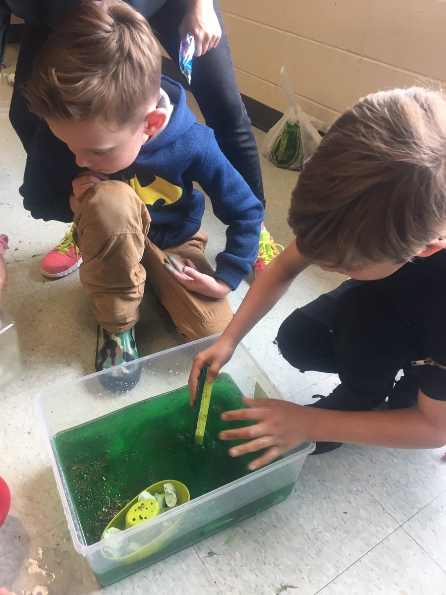 BGCHamHal's tweet image. Our mini scientists spent today experimenting the best ways to clean up oil spills in the ocean and find the solution to oil ocean pollution. #futurescientists #miniscientists #ocean #oilspills #SaveTheOcean