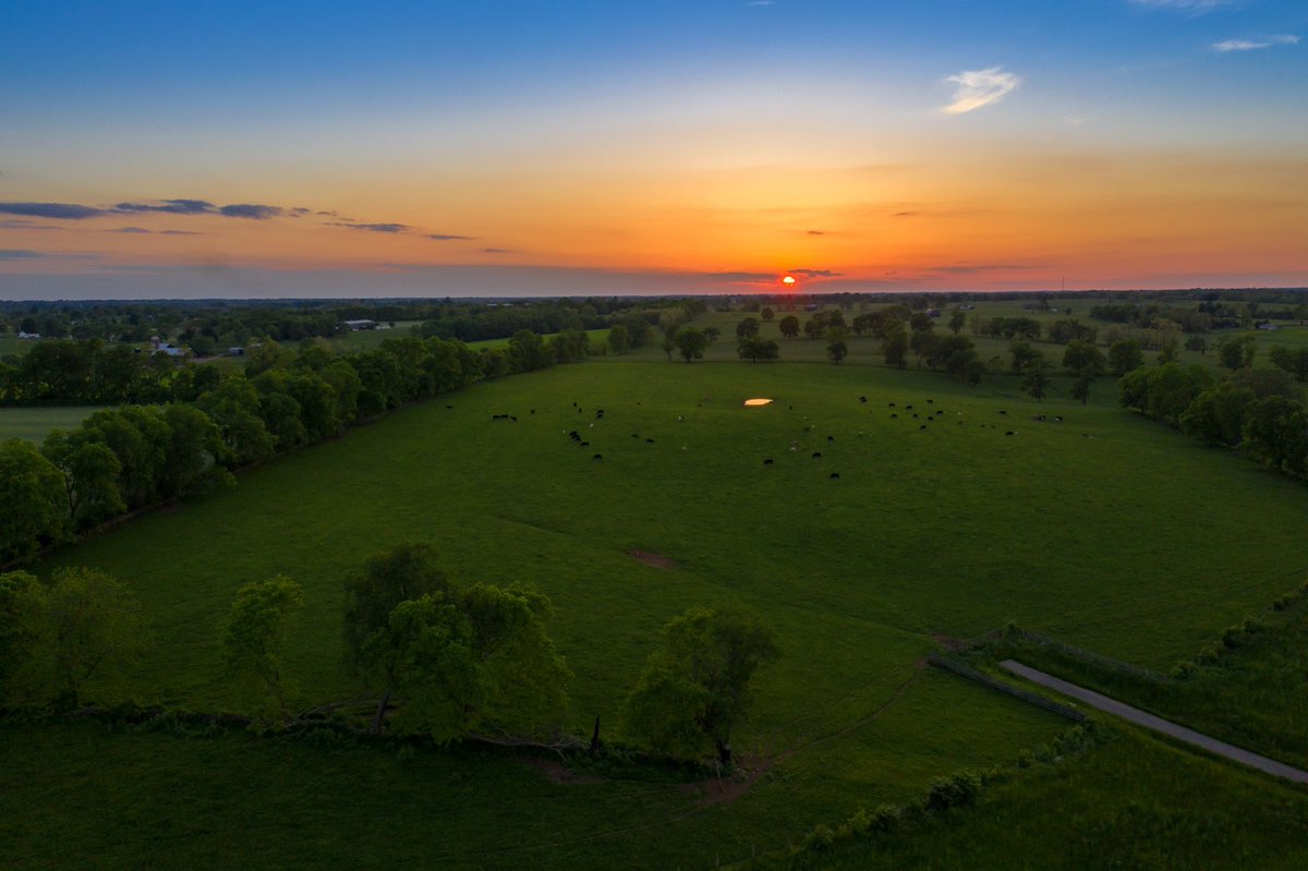 JustinRothWx's tweet image. Beautiful sunset overlooking Georgetown, Ky #kywx #sunset #viewerphoto 

Photo By: Freeman Kelly

@StormHour @EarthandClouds @EarthandClouds2 @BluegrassScenes @lexingtonkycom @weatherchannel