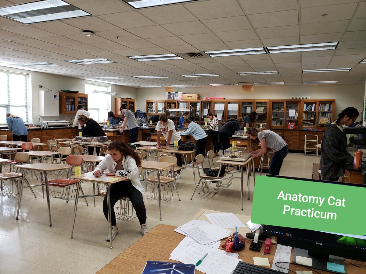 DebbiePohlmann's tweet image. #AwesomeStudents Another wonderful school year is coming to a close. I'm going to miss these seniors. #Science  #Anatomyandphysiology #APES @d202schools @pchs_ptso @Dist202_Supt @PCHSwildcats @bioexplorations @PSD202CAPE