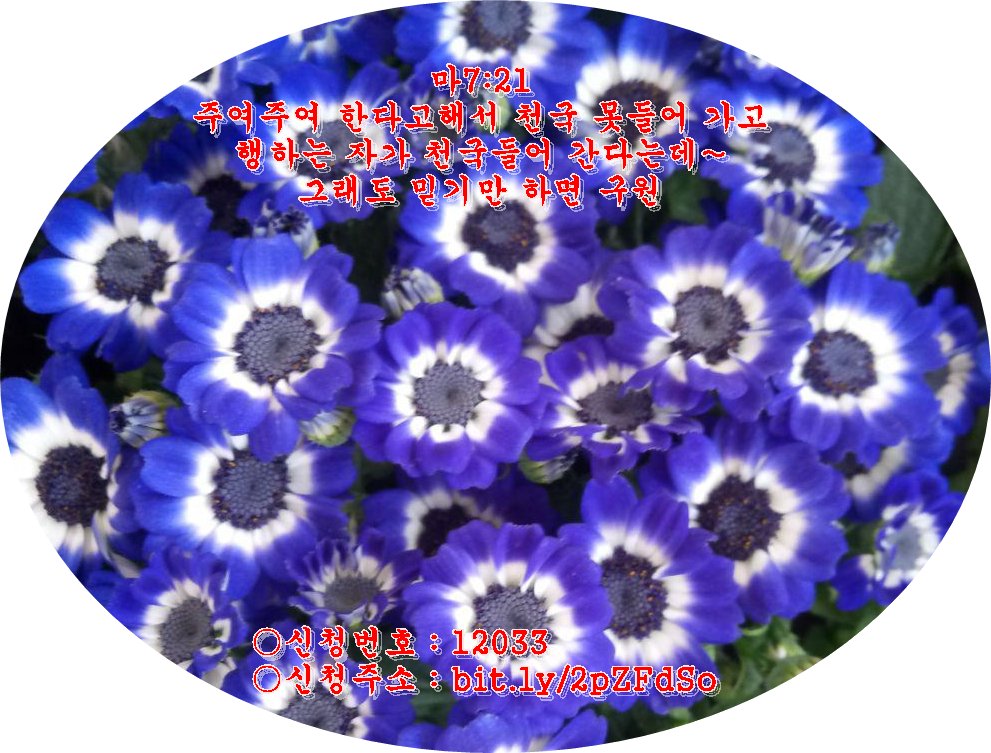 천국은 어떤 자가 들어가고 어떤 자가 못 들어가는가
blog.naver.com/tnq0153/221537…
#천국은어떤자가들어가고#어떤자가못들어가는가
#참정통신천지#신천지가대세다#진리의말씀
#무료성경공부#교리비교#참하나님말씀