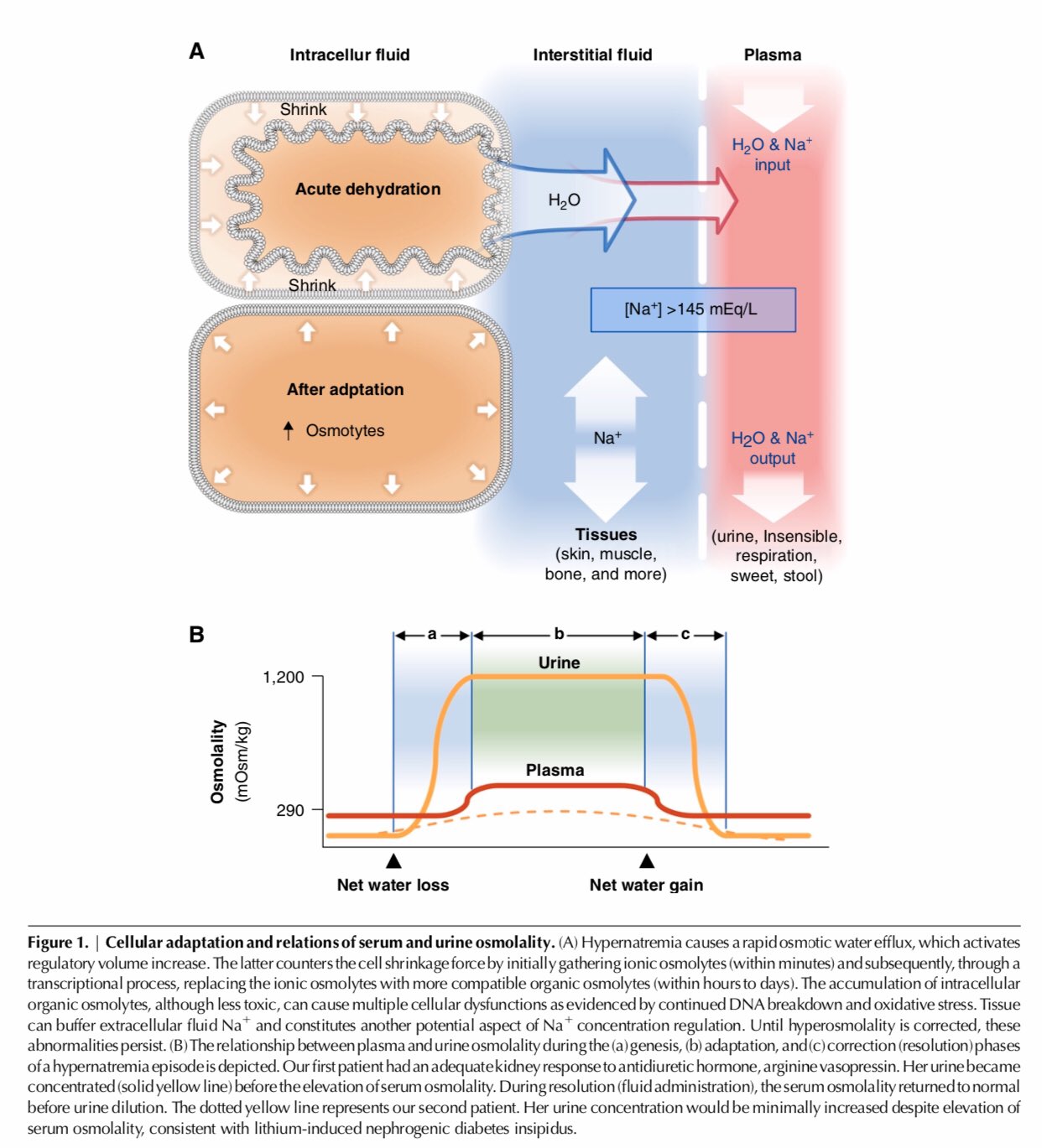 Edgar V. Lerma 🇵🇭 on Twitter: 