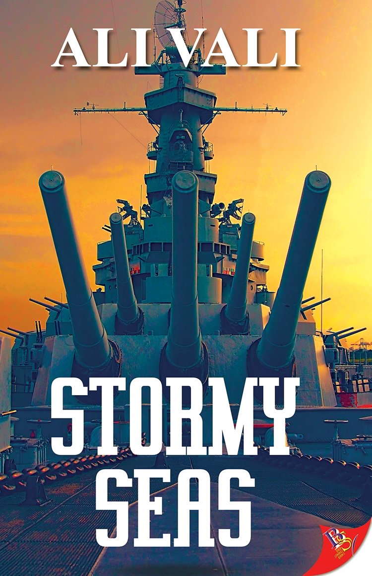 NEW #adventure #romance from <a href="/Alivali20G/">Ali Vali</a> STORMY SEAS, her thrilling sequel to the best-selling BLUE SKIES now everywhere in ebook and paperback  bit.ly/2VBONeT #LesbianFiction #Lesfic