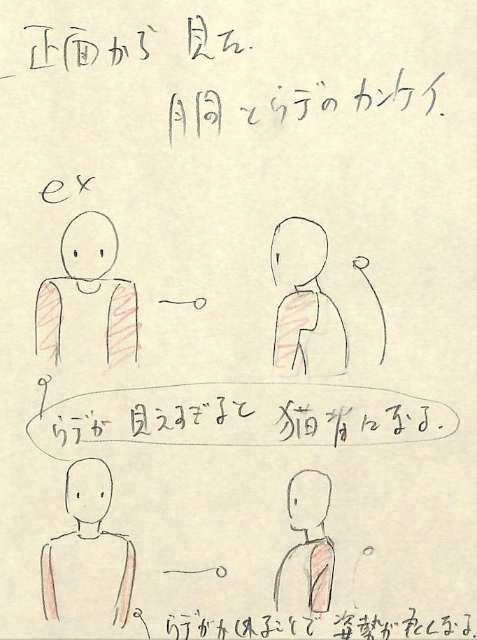 アニメ私塾 正面から見たときの腕の見え方 腕の見え方は横図でどうなっているか確認してみよう 腕が広い 猫背で姿勢が悪い 腕が狭い 胸を張り姿勢が良い つまりどちらも正誤はありません キャラのポーズによって見え方の差が生まれます
