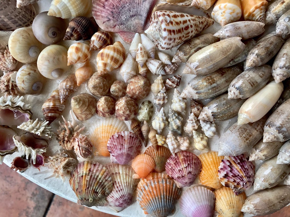 Heather Gray tweet media