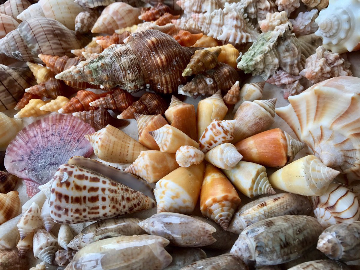 Heather Gray tweet media