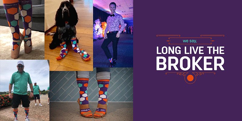 HCi_Insurance's tweet image. Our Long Live The Broker socks are featuring far and wide - check out some ankle (and paw) action in the shots below : )  Thanks for getting into the spirit with us! 
hollardcommercial.com.au/long-live-the-…
#smeinsurance #insurancebroker #longlivethebroker