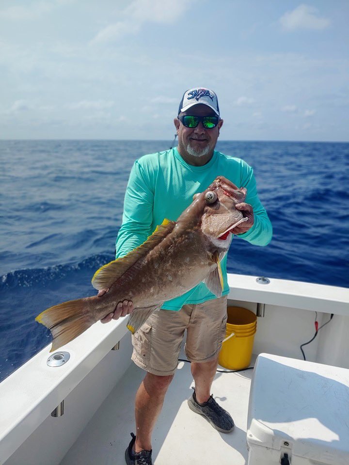 firedupcharters's tweet photo. Deep water fishing, one of many. #grouper #fishing #firedupcharters @spacefishreport @CocoaBeachCVB @RealSaltLife https://t.co/k98cDmaMnm
