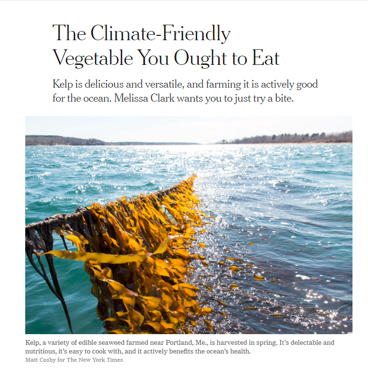 letfishlive's tweet photo. Farm seaweed, not #fish! In Maine, Atlantic Sea Farms, is helping local fishermen start kelp farms. https://t.co/wdP7mZBDqo #animalrights https://t.co/bEbGihcJ7s