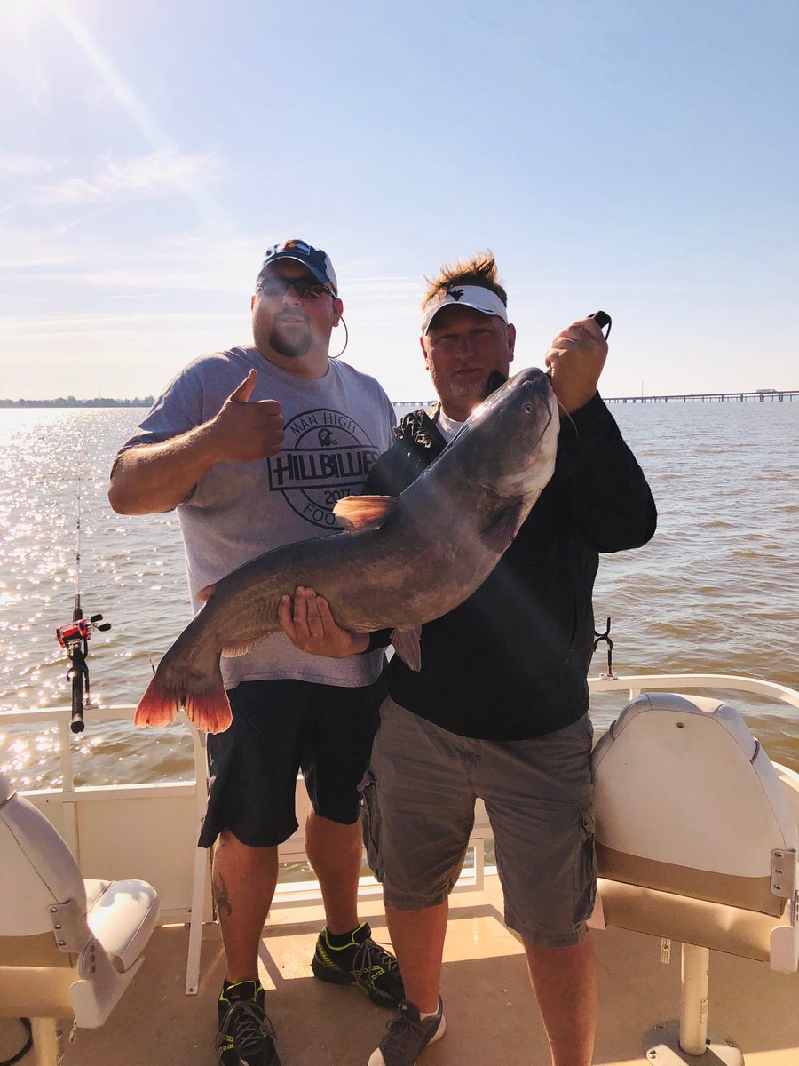 baitbinder tweet picture