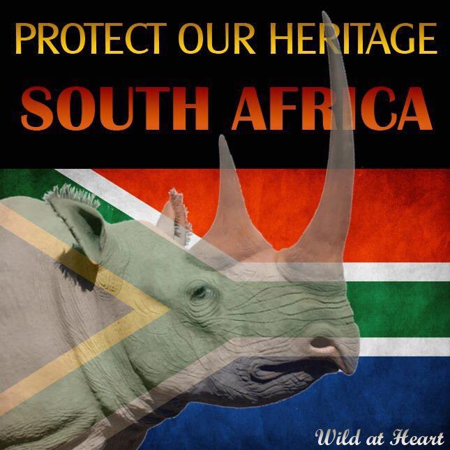 BevMoyle's tweet image. 