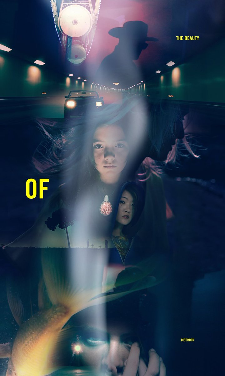 La beauté du désordre