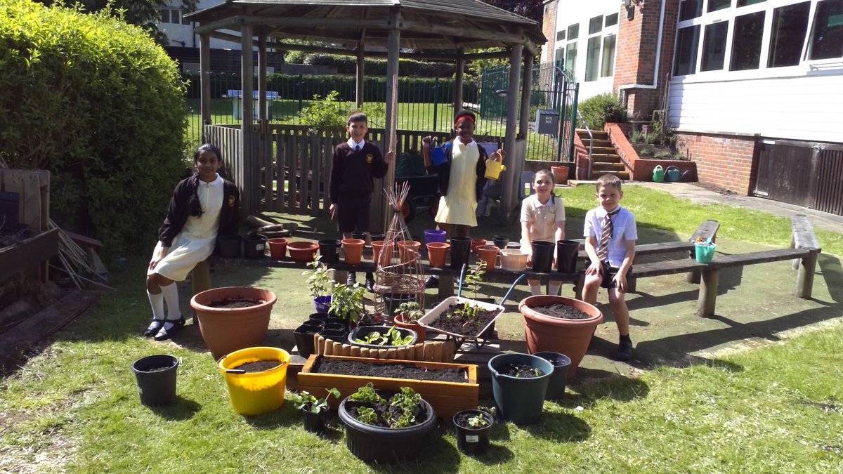 olsyear5's tweet photo. Today we began planting our #Y5Garden for the #grOwLS challenge! https://t.co/rvOj2iXfy9
