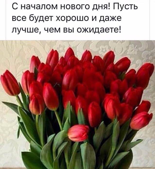Дорогие жители Ульяновской области!!! С Международным Днём Семьи!!!🌹здоровья! Удачи !💥Успехов во всем💥💥💥