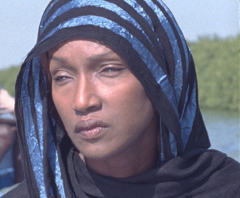 dieynaba_sar's tweet photo. Une pensée pour Katoucha Niane "la Princesse peule". L'un des premiers mannequins noirs sur la scène mondiale. Célèbre pour son combat contre l'excision. Une mutilation qu'elle a elle-même subie à l'âge de 9 ans. "Dans ma chair" raconte sa douleur #MuseumWeek2019 #WomenInCulture https://t.co/Rylka3sV9z
