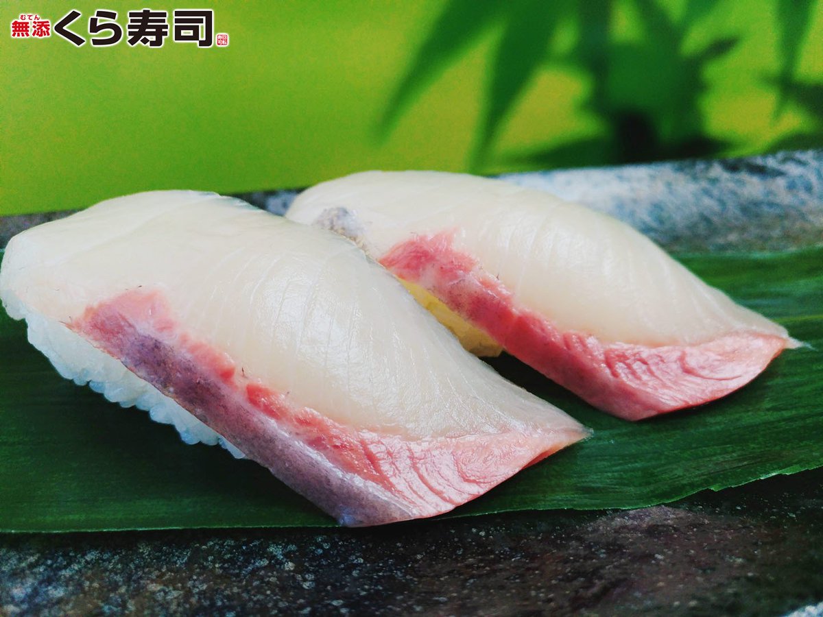無添くら寿司 公式 On Twitter 冬の寒ブリと並び評価の高い 貴重な高級魚 ひらまさ 中々お目にかかれない貴重なひらまさは 上品な舌触りのさらっとした脂の甘みが最高だね 今夜はくら寿司へ 是非来てね