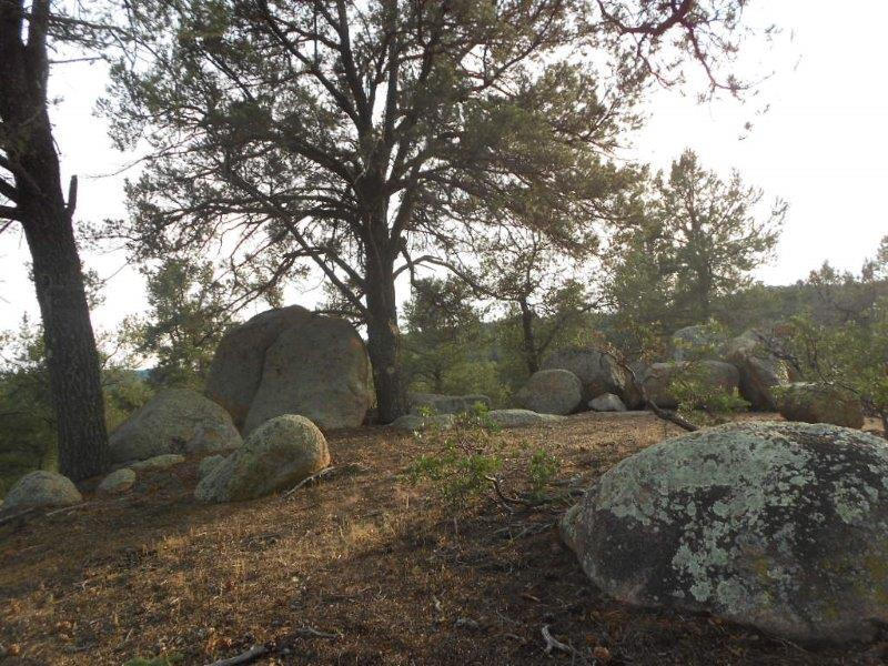 RimRealEstate's tweet photo. Price reduced on this 0.98 acre lot! It's impressive huge boulders provide an architectural opportunity on this beautiful Chaparral Pines home site tucked away at the end of a private cul-de-sac. Call Mike Woolery to learn more about 1700 E Redbud Court
at 928-474-1222. https://t.co/grKMOFidC8