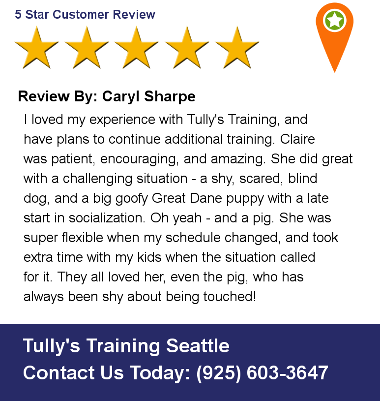 tullystraining's tweet photo. Review By: Caryl Sharpe I loved my experience with Tully's Training, and have plans to continue additional training. https://t.co/veFl9Xm0iD