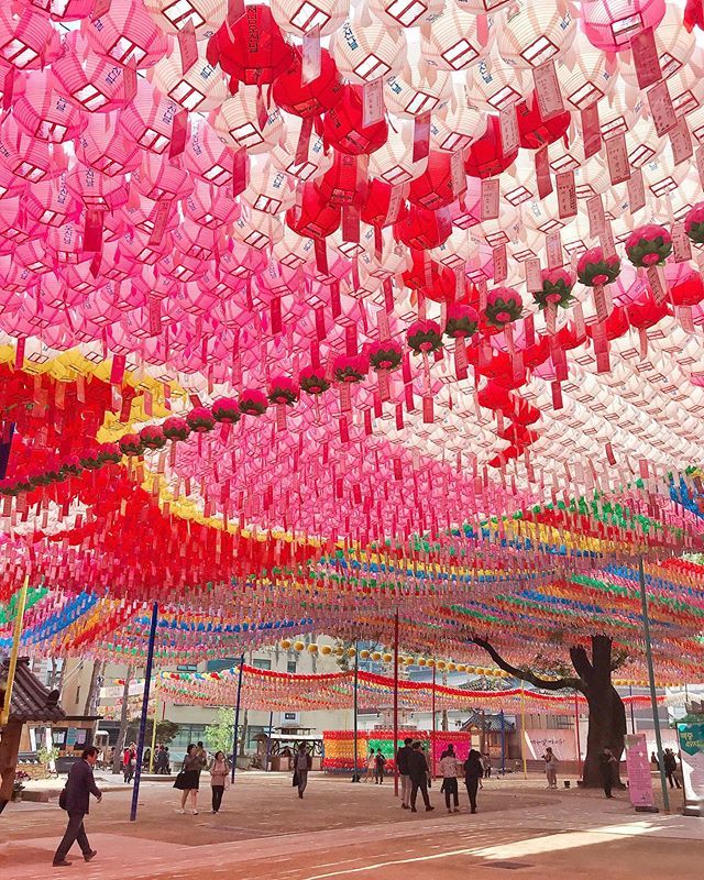 _themodestones's tweet photo. Peace underneath a canopy of lanterns 🙏 https://t.co/leEocYQ64L https://t.co/Wfoo5SkZF9