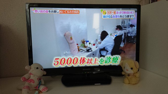 ヒルナンデスで ぬいぐるみ病院 が話題に トレンドアットtv