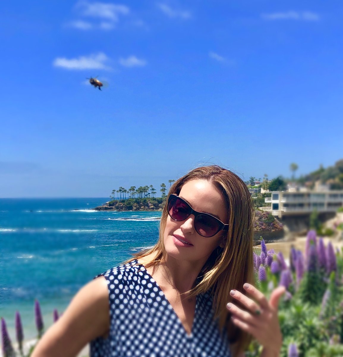 Love 🐝 is in the air 💛 #bees #BeHappy #blueskies #bluewater #lagunabeach