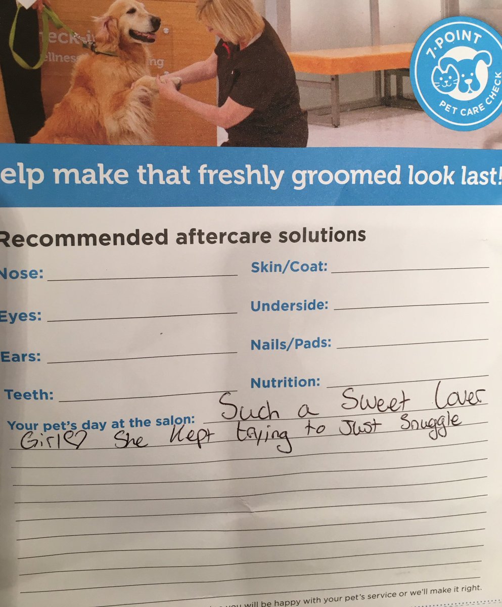 I’m not sure what happened during Angie’s grooming appointment today, but I only paid for a bath and cut.