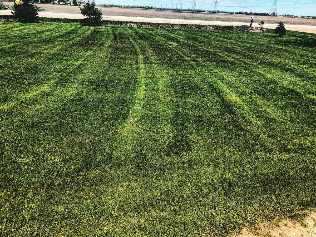 Small yards are $35, medium yards are $40 and large yards are $45 per cut. Call us at 989-770-1435. Or you can message us on facebook,instagram or here on Twitter.