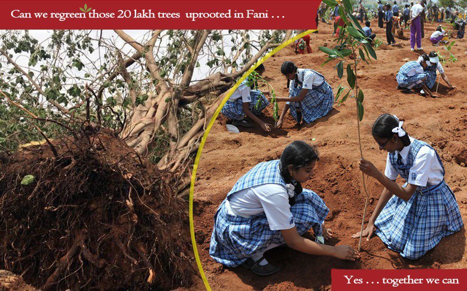 DrRajendraShar2's tweet image. Nature makes no compromises :Cyclonic Storm #Fani devastated half of the greenery of #Odisha. About 20 lakhs trees have been uprooted.Let&apos;s join hands &amp;amp; plant as many trees as we can.... @Odisha_police #CycloneFaniAftermath #OdishaFightsFani